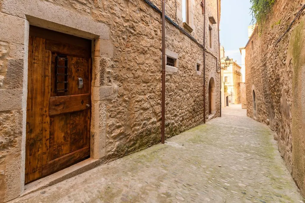 As Palau Dels Alemanys Suites Boutique Monument Girona